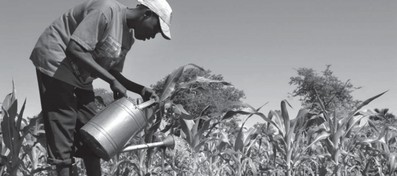 Growing Prosperity: Developing Repeatable Models® to Scale the Adoption of Agriculture Innovations course image