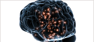 Origins of the Human Mind - DVD, digital video course course image