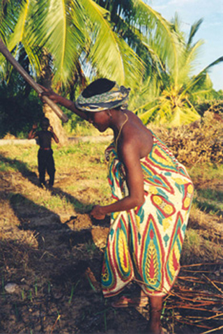 Gender, Power, and International Development course image
