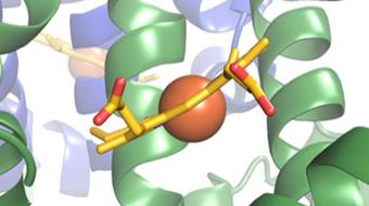 Principles of Biochemistry course image