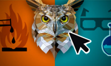 Lab Safety: The Interactive Game of Don’t Endanger the Owls course image