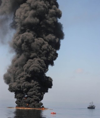 Environmental Policy and Economics course image