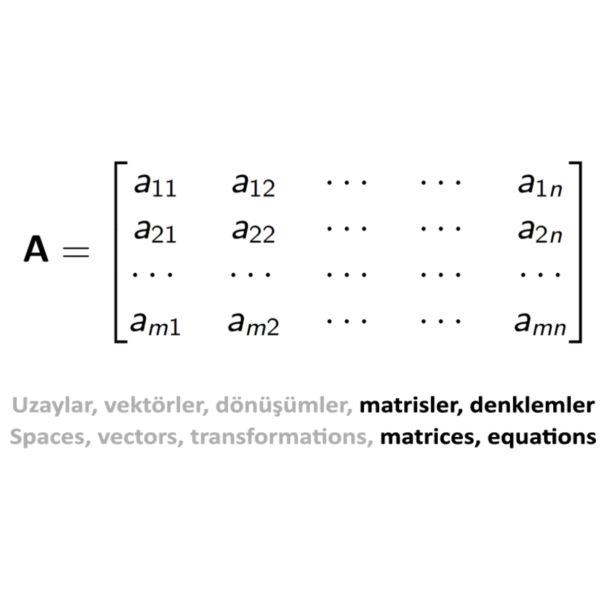 Doğrusal Cebir II: Kare Matrisler, Hesaplama Yöntemleri ve Uygulamalar / Linear Algebra II: Square Matrices, Calculation Methods and Applications course image
