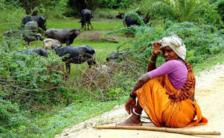 Women in South Asia from 1800 to Present course image