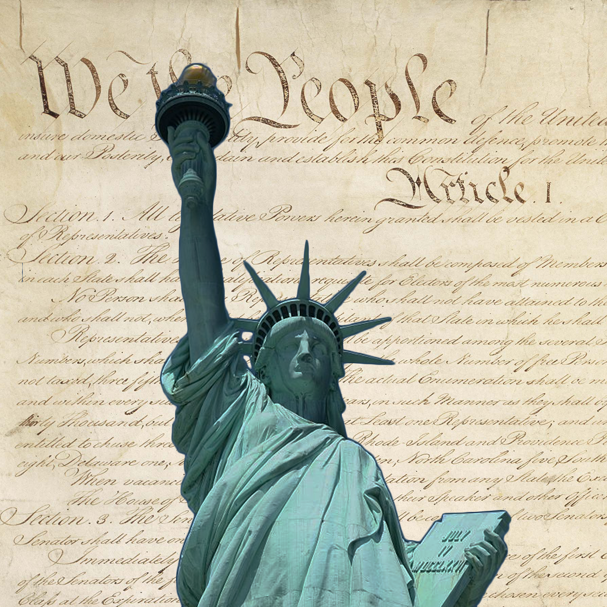 Chemerinsky on Constitutional Law – Individual Rights and Liberties course image
