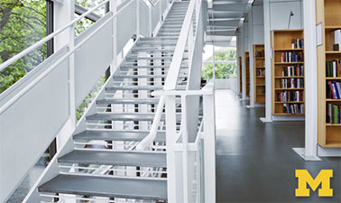 Infrastructure Management for Public Libraries course image