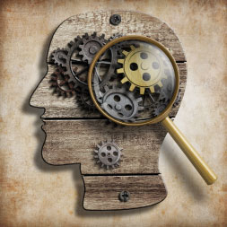 Psychology: Memory and Cognition course image
