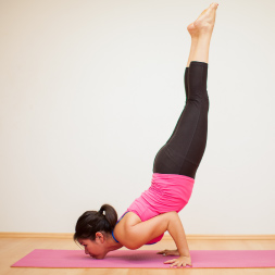 Health and Fitness - Flexibility, Calisthenics and Plyometrics course image