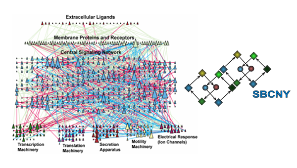Introduction to Systems Biology course image