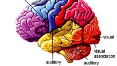 Why We Need Psychology course image
