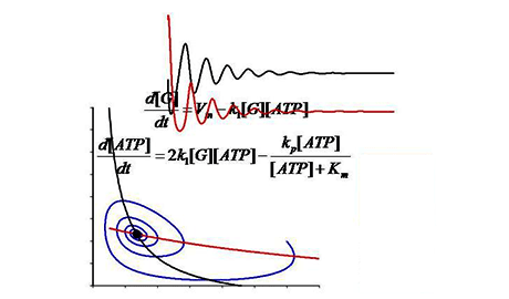Dynamical Modeling Methods for Systems Biology course image