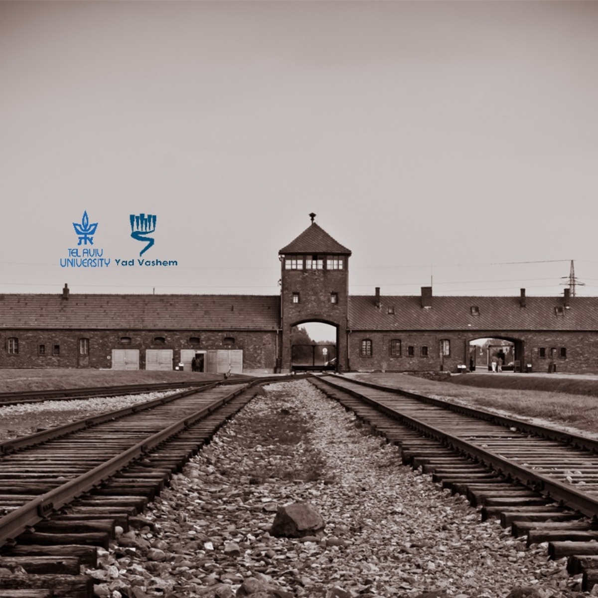 The Holocaust - An Introduction (II): The Final Solution course image