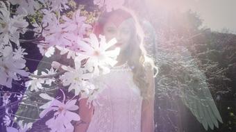 Angel Connection: Decode Messages from your Angels
