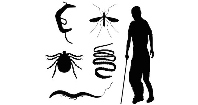 Tropical Parasitology: Protozoans, Worms, Vectors and Human Diseases course image