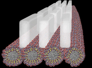 Molecular Principles of Biomaterials course image