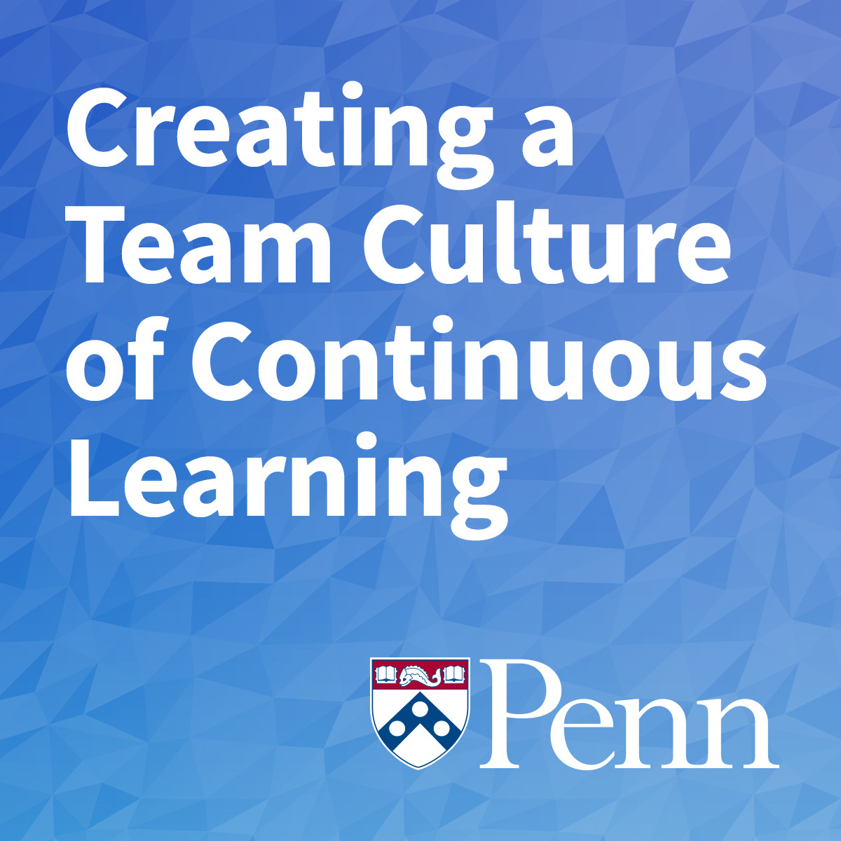 Creating a Team Culture of Continuous Learning course image