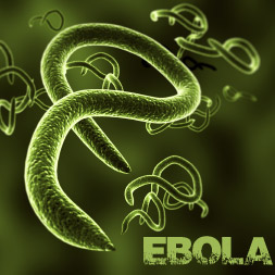 Understanding the Ebola Virus and How You Can Avoid It course image