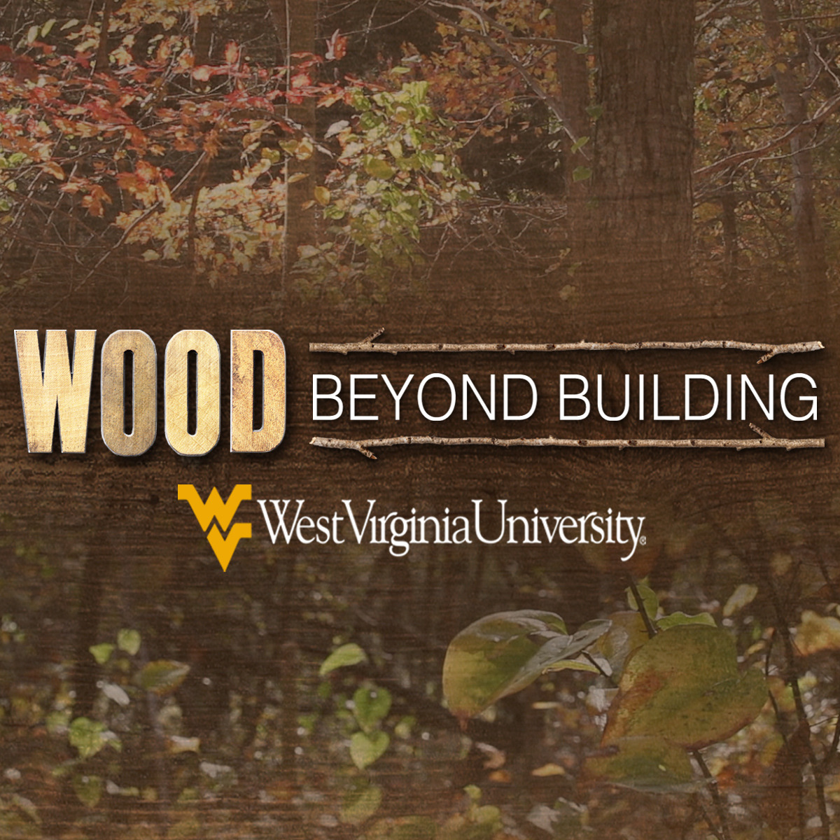 Wood Science: Beyond Building course image