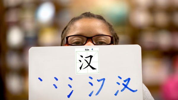 Chinese Characters for beginner 汉字 course image