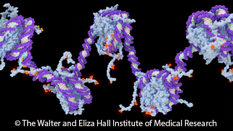 Epigenetic Control of Gene Expression course image
