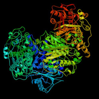 Biological Chemistry II course image
