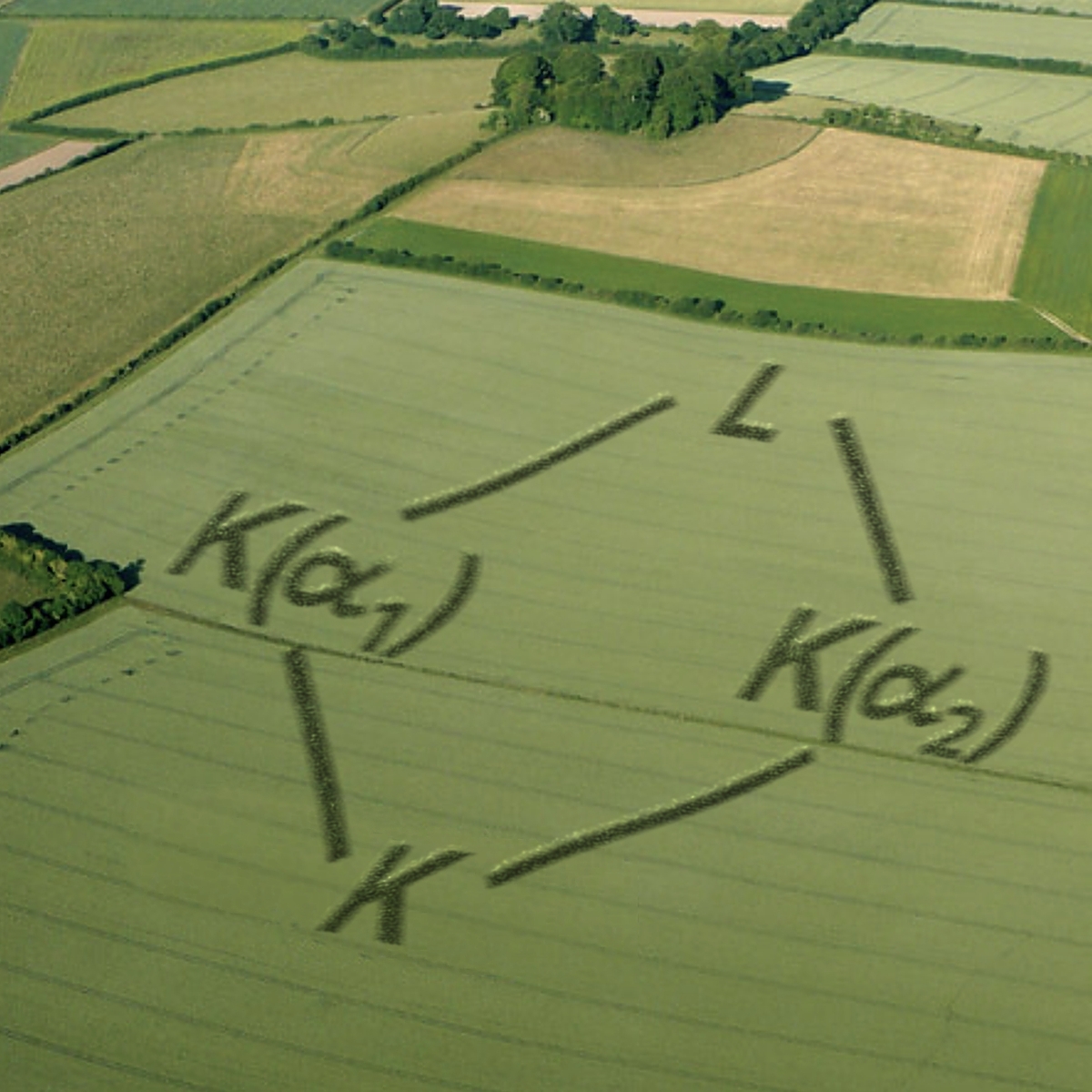 Introduction to Galois Theory course image