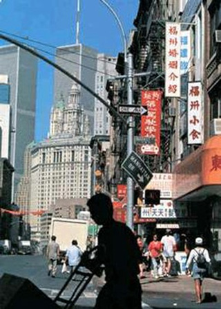 Chinese V (Regular): Chinese Cultures & Society course image