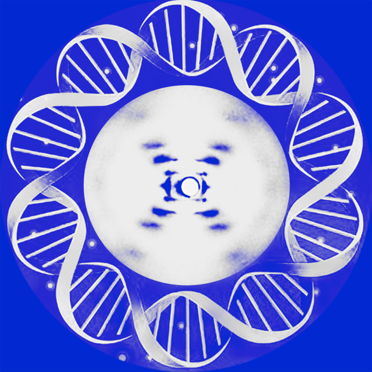 结构生物化学(Structural Biochemistry) course image