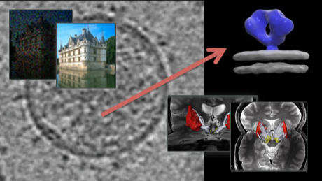 Image and Video Processing: From Mars to Hollywood with a Stop at the Hospital course image