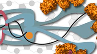 Molecular Biology - Part 1: DNA Replication and Repair course image