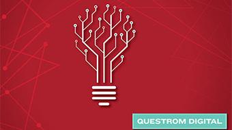 Designing for Experimentation to Enhance Digital Business Innovation