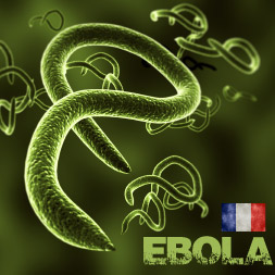 Comprendre le virus Ebola et comment l'eviter course image