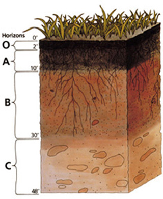 Advanced Soil Mechanics course image