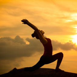 Yoga Exercises for Core Strength and Flexibility course image