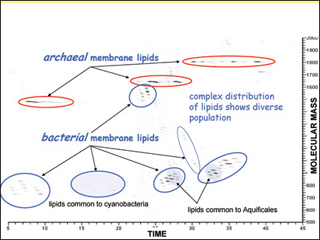 Molecular Biogeochemistry course image