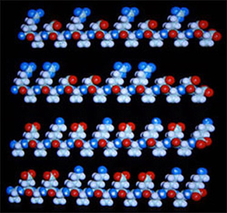 Molecular Structure of Biological Materials (BE.442) course image