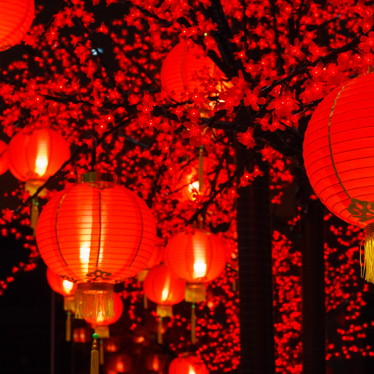 Understanding China, 1700-2000: A Data Analytic Approach, Part 1 course image