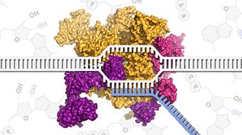Molecular Biology – Part 2: Transcription and Transposition course image