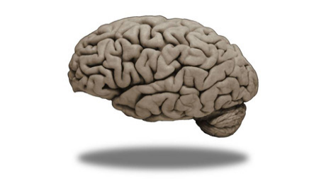 Medical Neuroscience course image