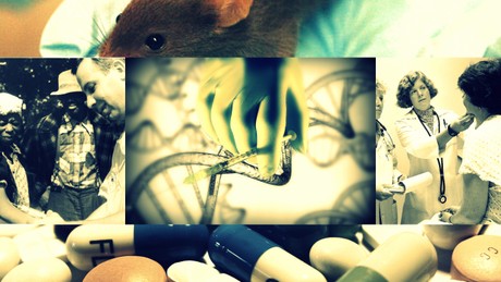 Guinea Pigs, Heroes & Desperate Patients: The History & Ethics of Human Research course image