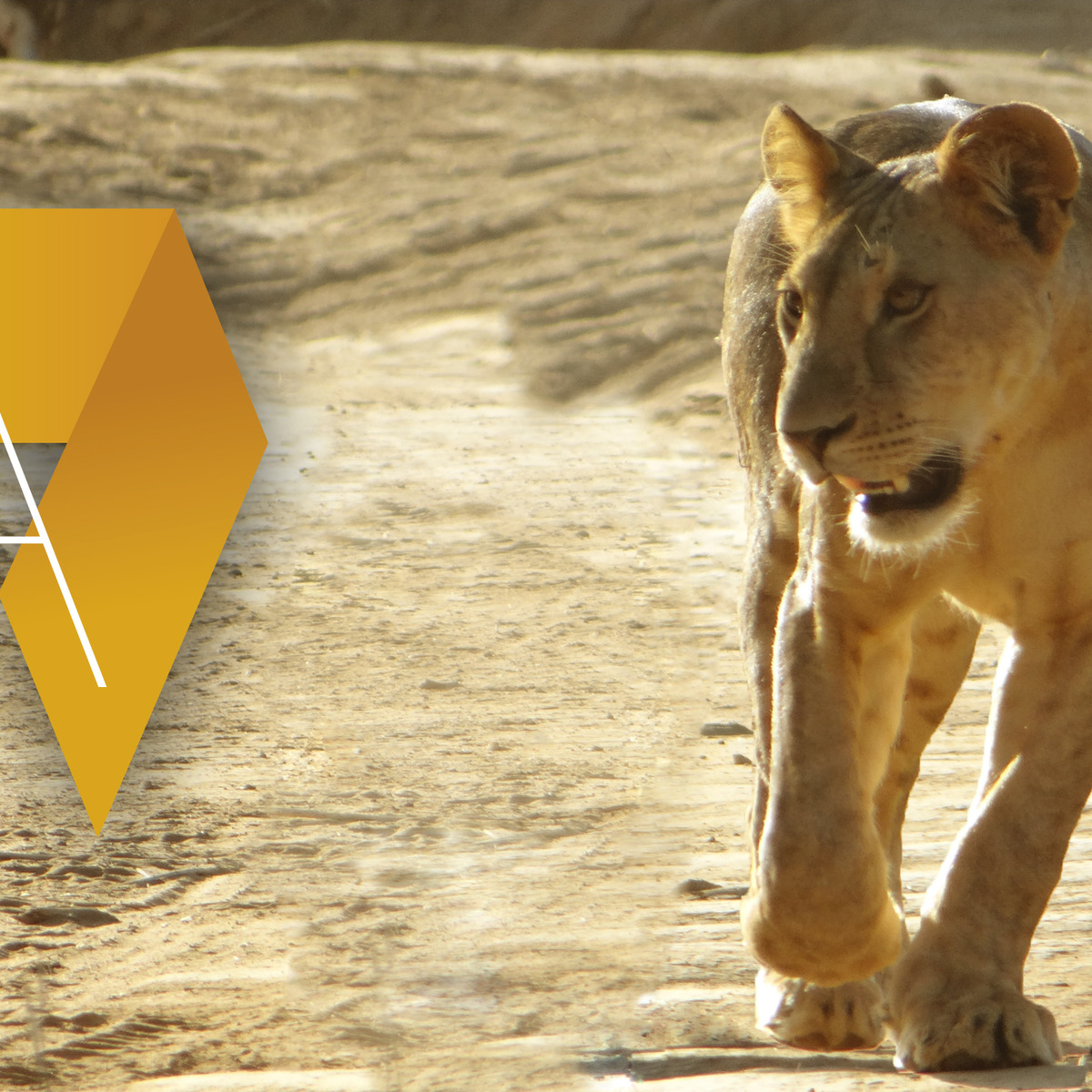 Protected Areas Management in Africa course image