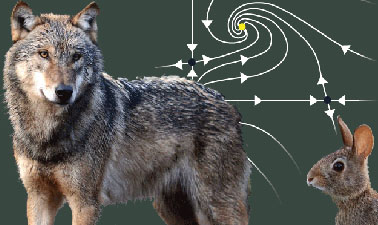 Differential Equations: 2x2 Systems course image