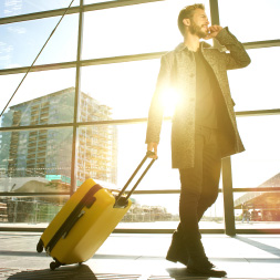 Introduction to Business and Travel English Language Skills course image