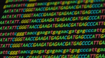 Case Studies in Functional Genomics