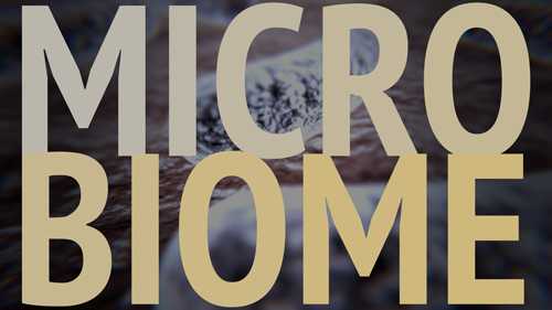 Gut Check: Exploring Your Microbiome course image