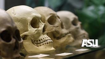 Human Origins course image