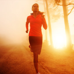 Physical Fitness - Fitness Tips and Workout Routines course image