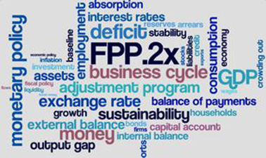 Financial Programming and Policies, Part 2: Program Design course image