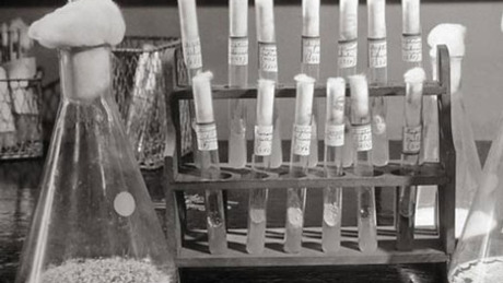 Antimicrobial Stewardship: Optimization of Antibiotic Practices course image