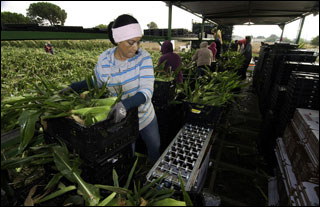 Slavery and Human Trafficking in the 21st Century course image